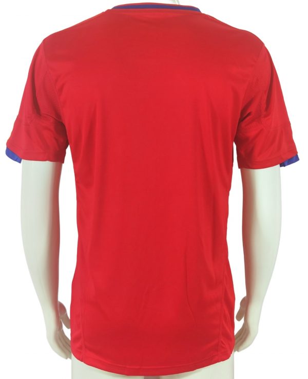Camiseta España 2010 - Imagen 2